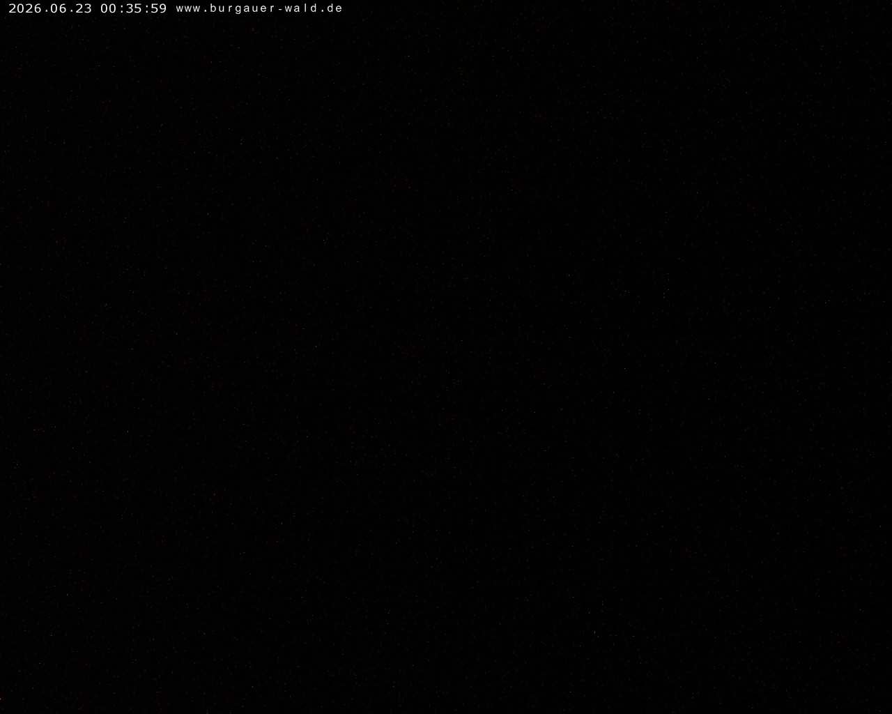 Archiv Foto Webcam Burgauer Wald
