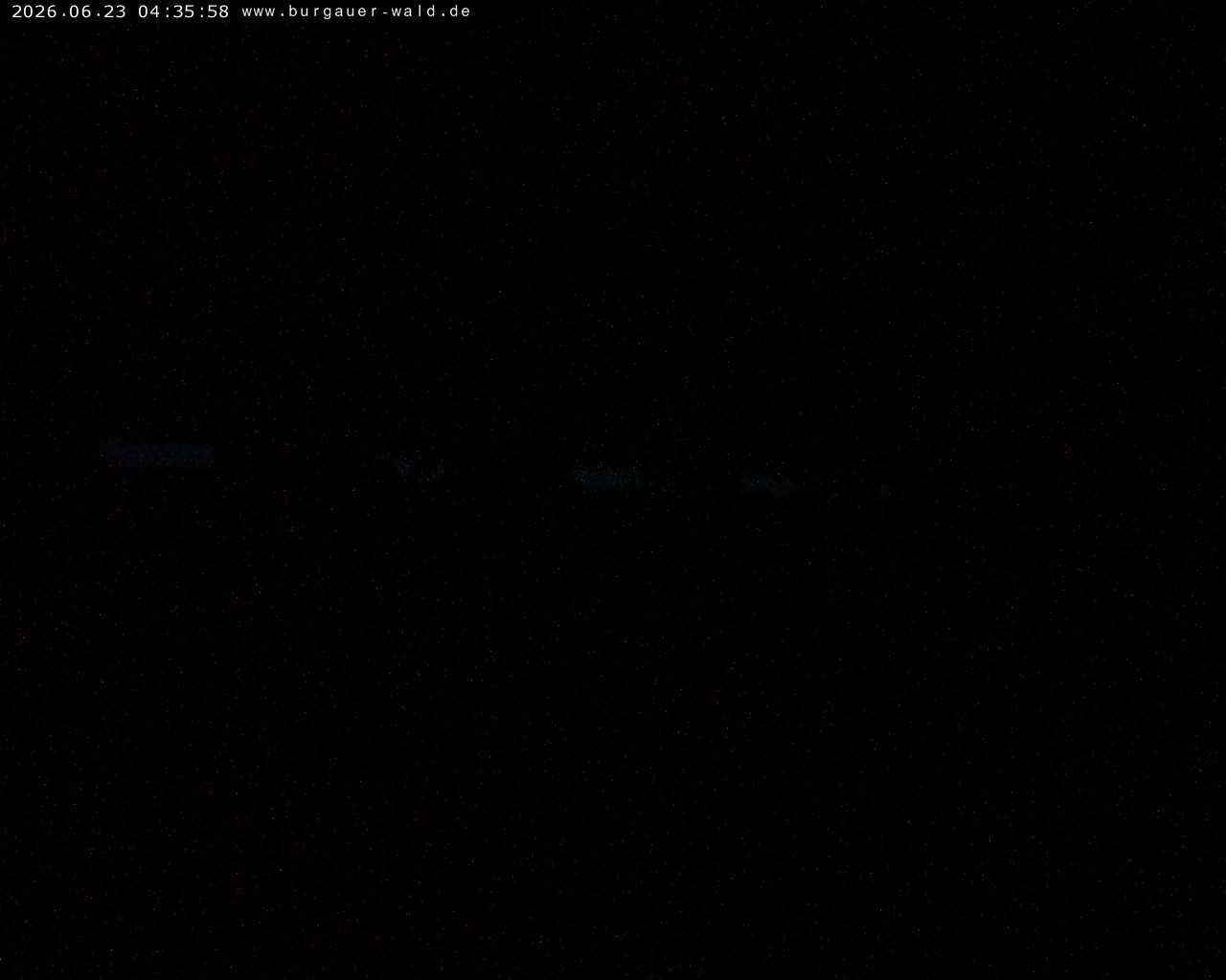 Archiv Foto Webcam Burgauer Wald