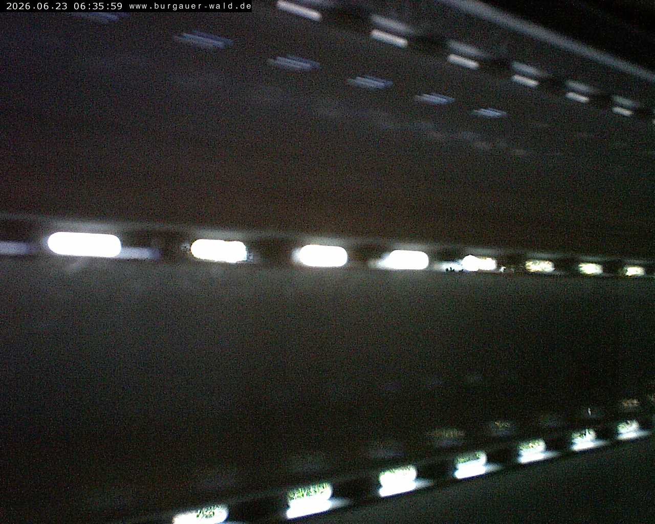 Archiv Foto Webcam Burgauer Wald