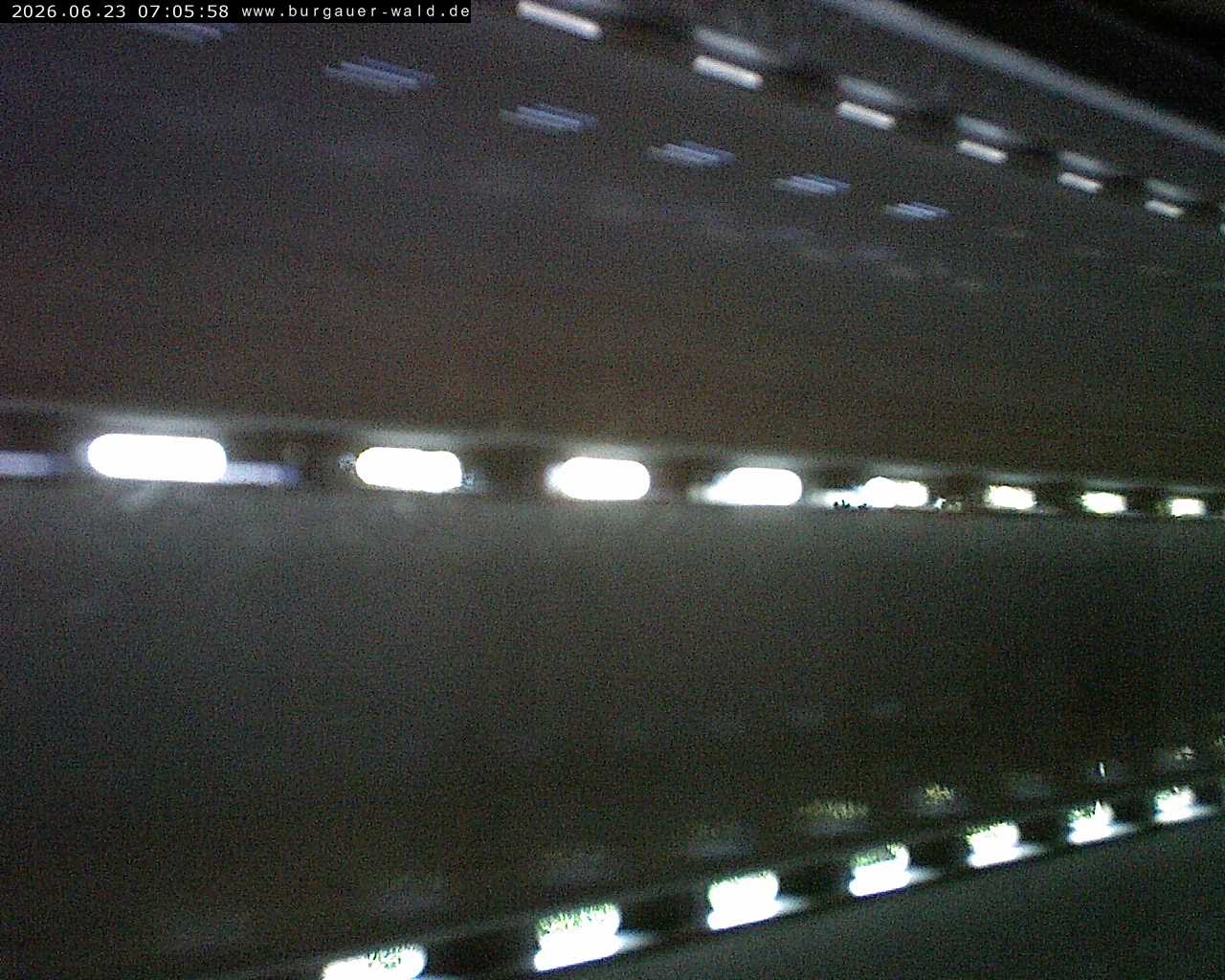 Archiv Foto Webcam Burgauer Wald