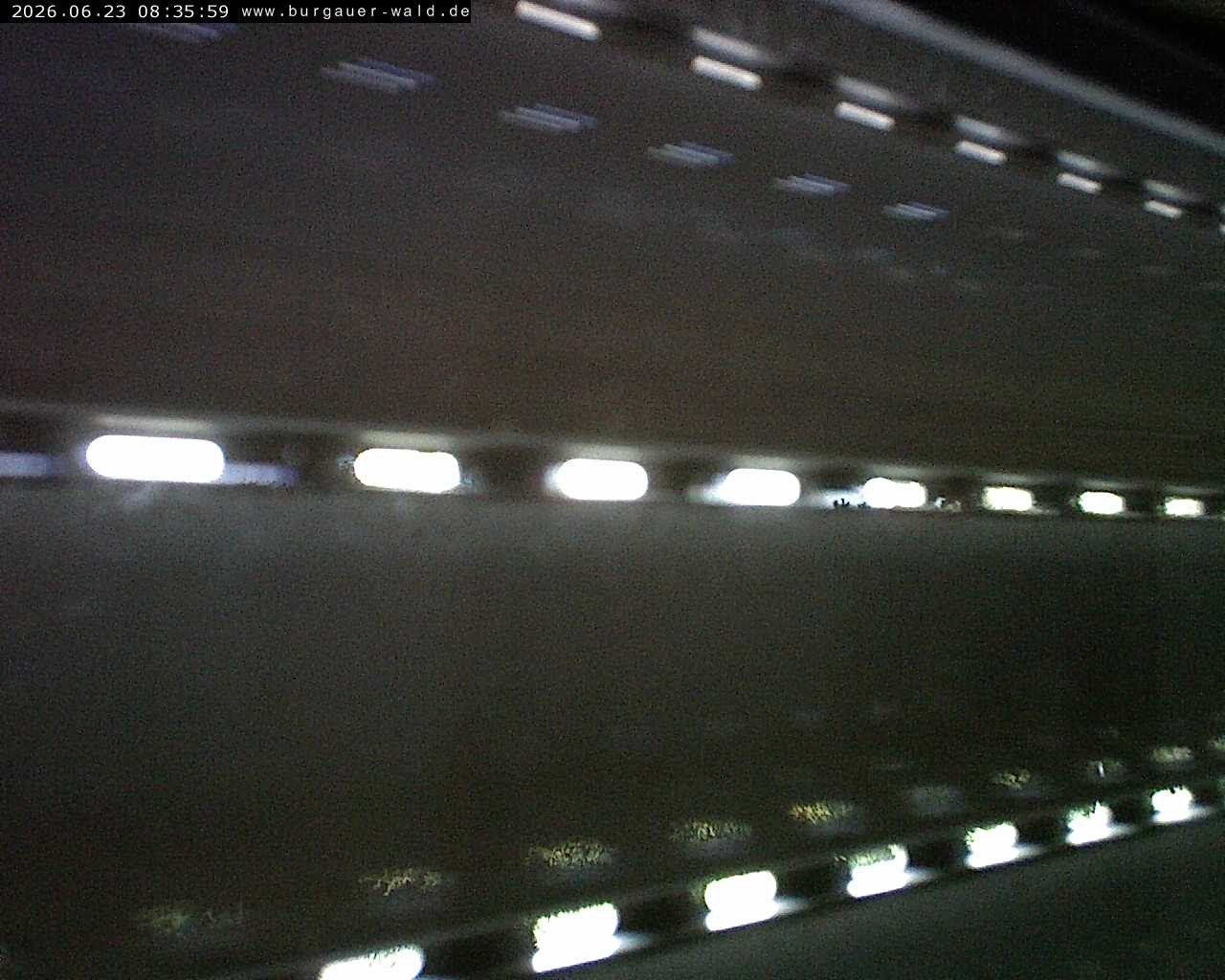 Archiv Foto Webcam Burgauer Wald