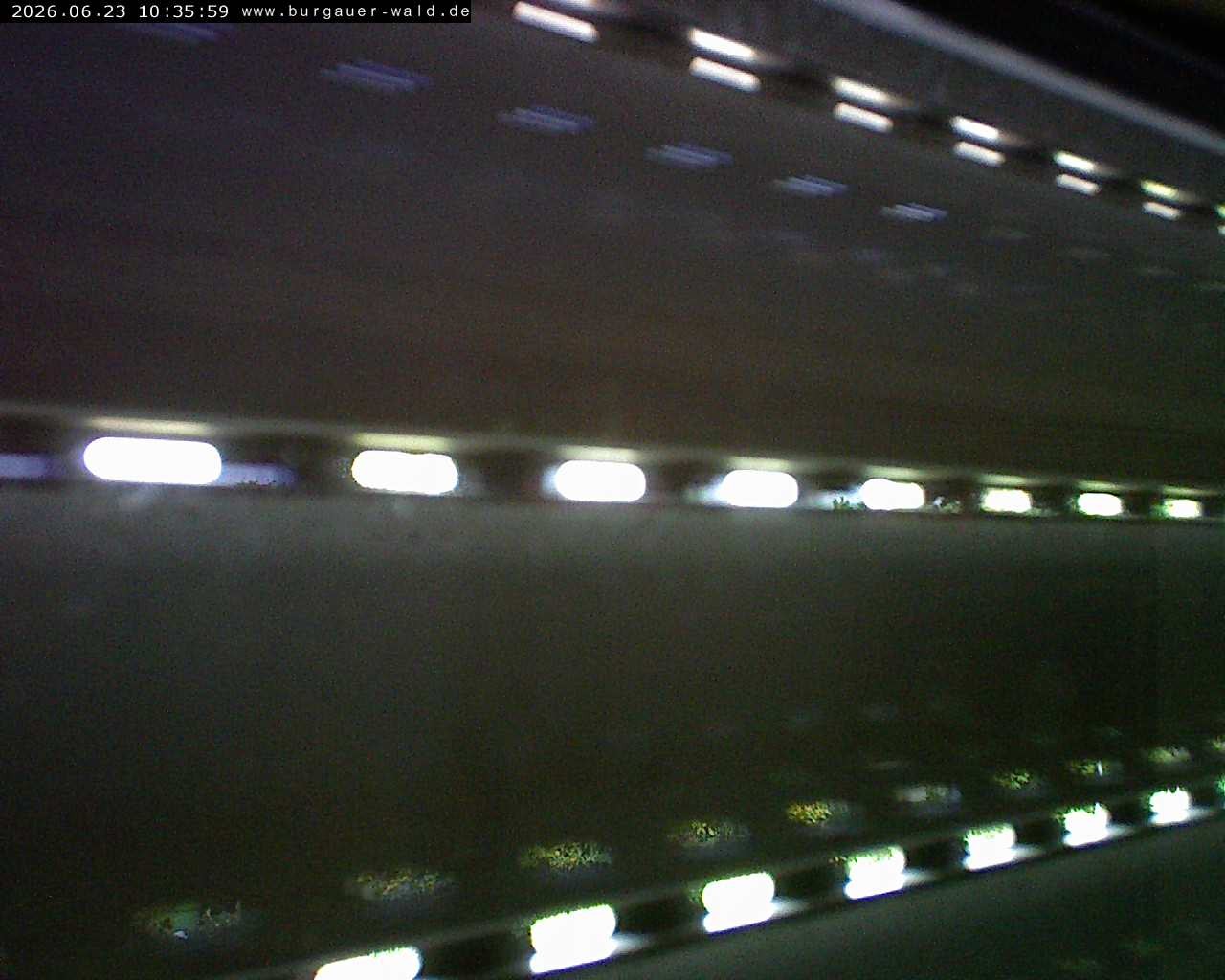Archiv Foto Webcam Burgauer Wald