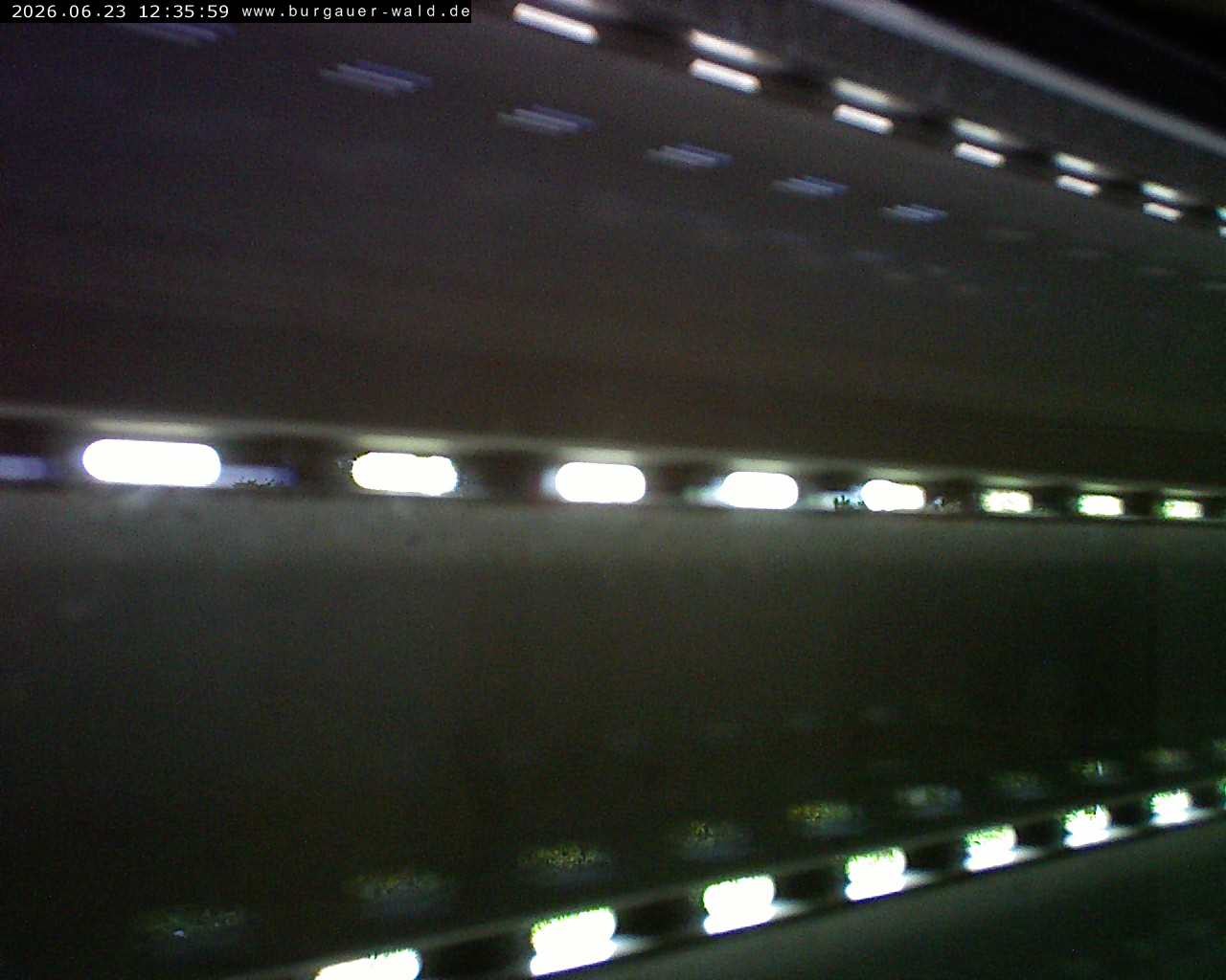 Archiv Foto Webcam Burgauer Wald