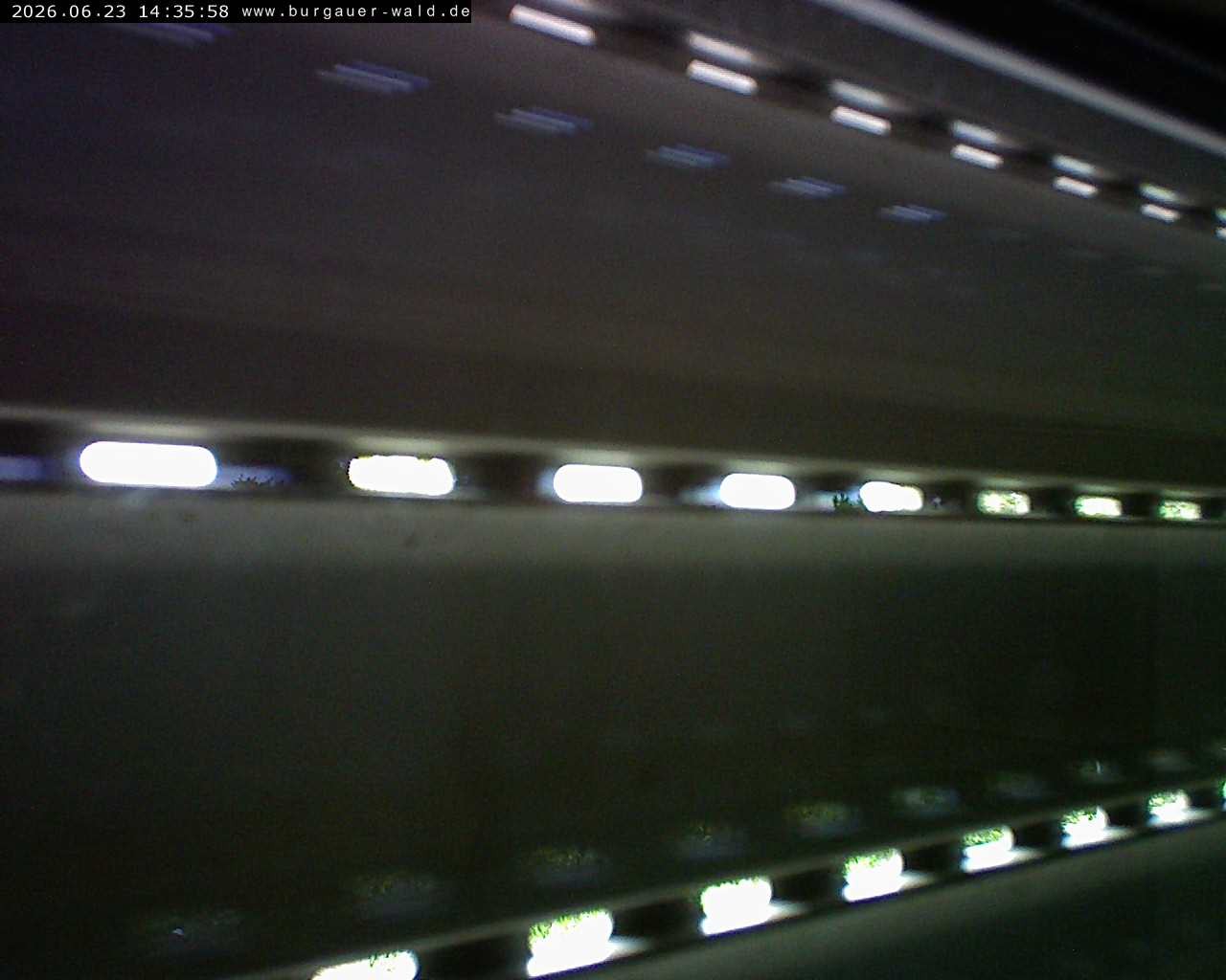 Archiv Foto Webcam Burgauer Wald