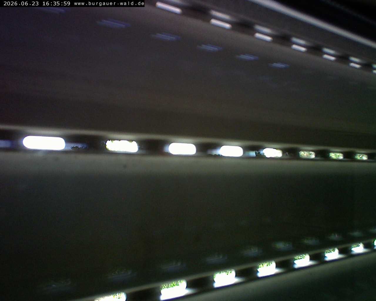 Archiv Foto Webcam Burgauer Wald