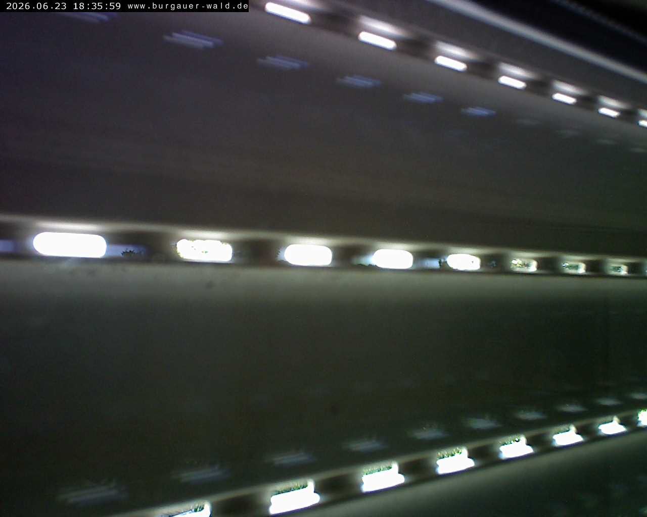 Archiv Foto Webcam Burgauer Wald