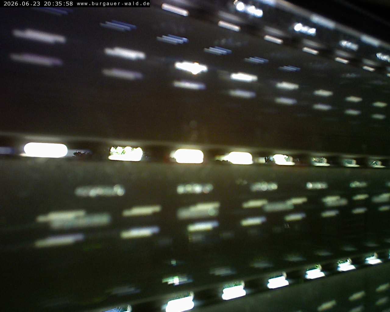 Archiv Foto Webcam Burgauer Wald