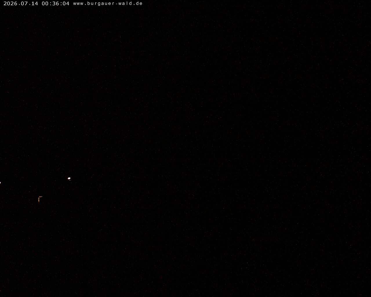 Archiv Foto Webcam Burgauer Wald