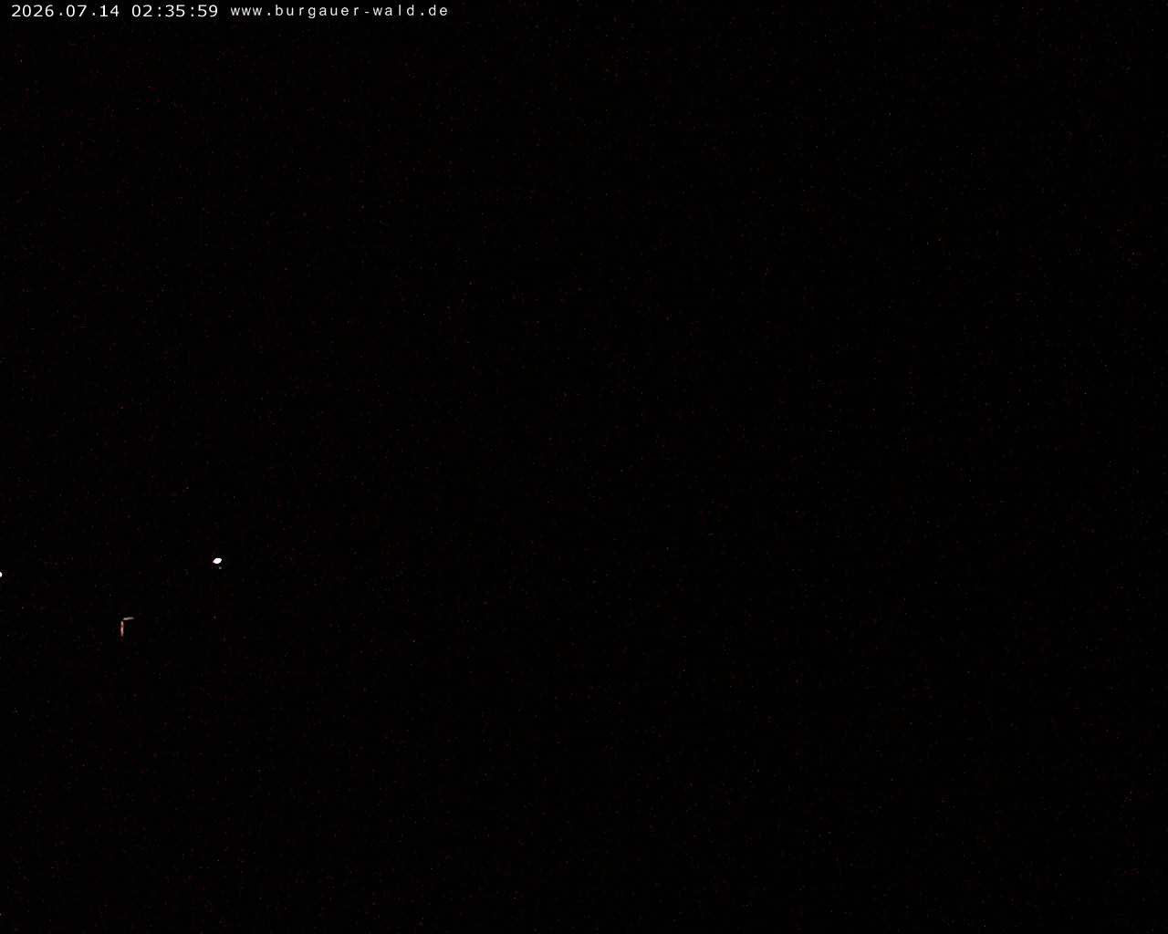 Archiv Foto Webcam Burgauer Wald