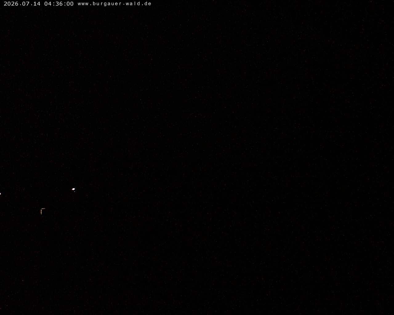 Archiv Foto Webcam Burgauer Wald