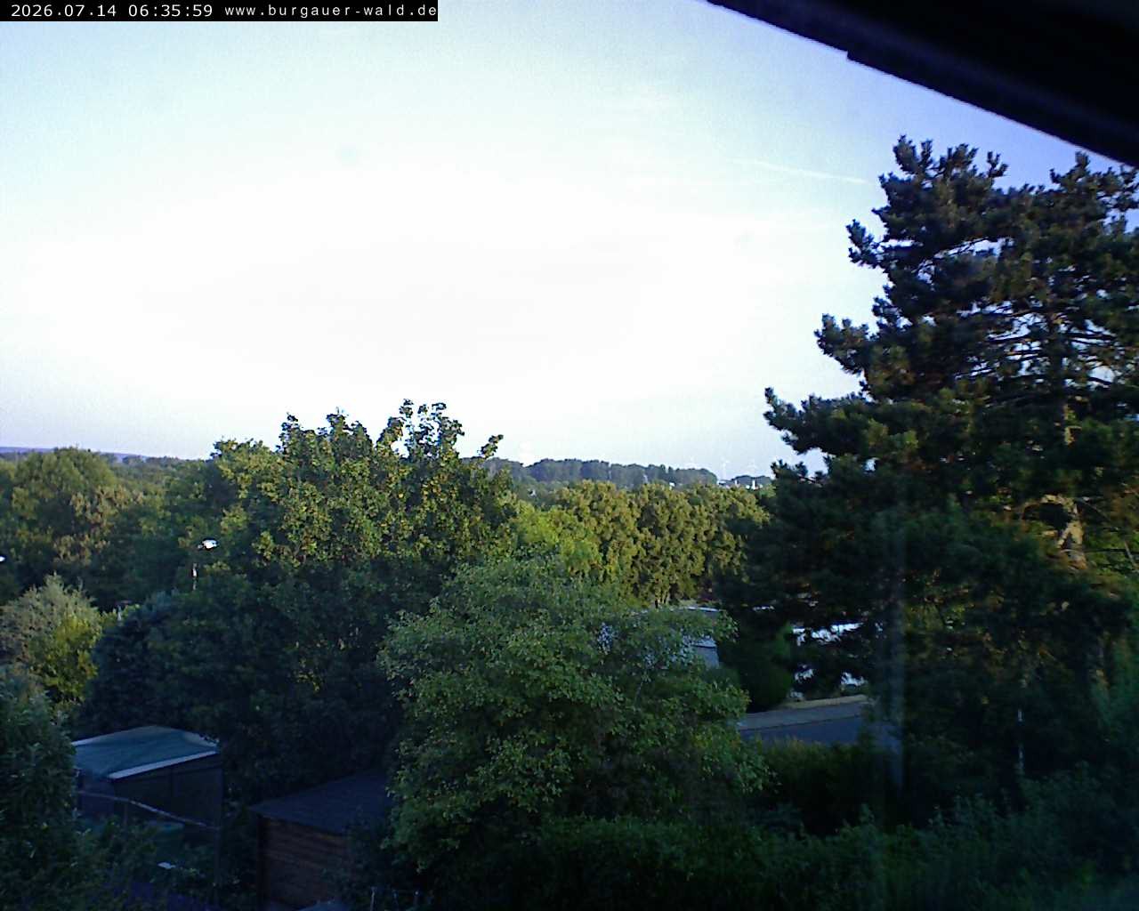 Archiv Foto Webcam Burgauer Wald