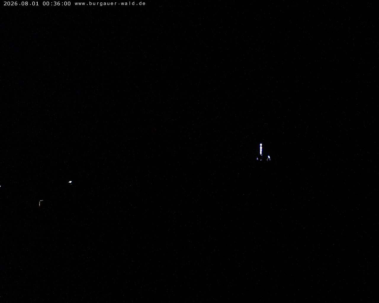 Archiv Foto Webcam Burgauer Wald