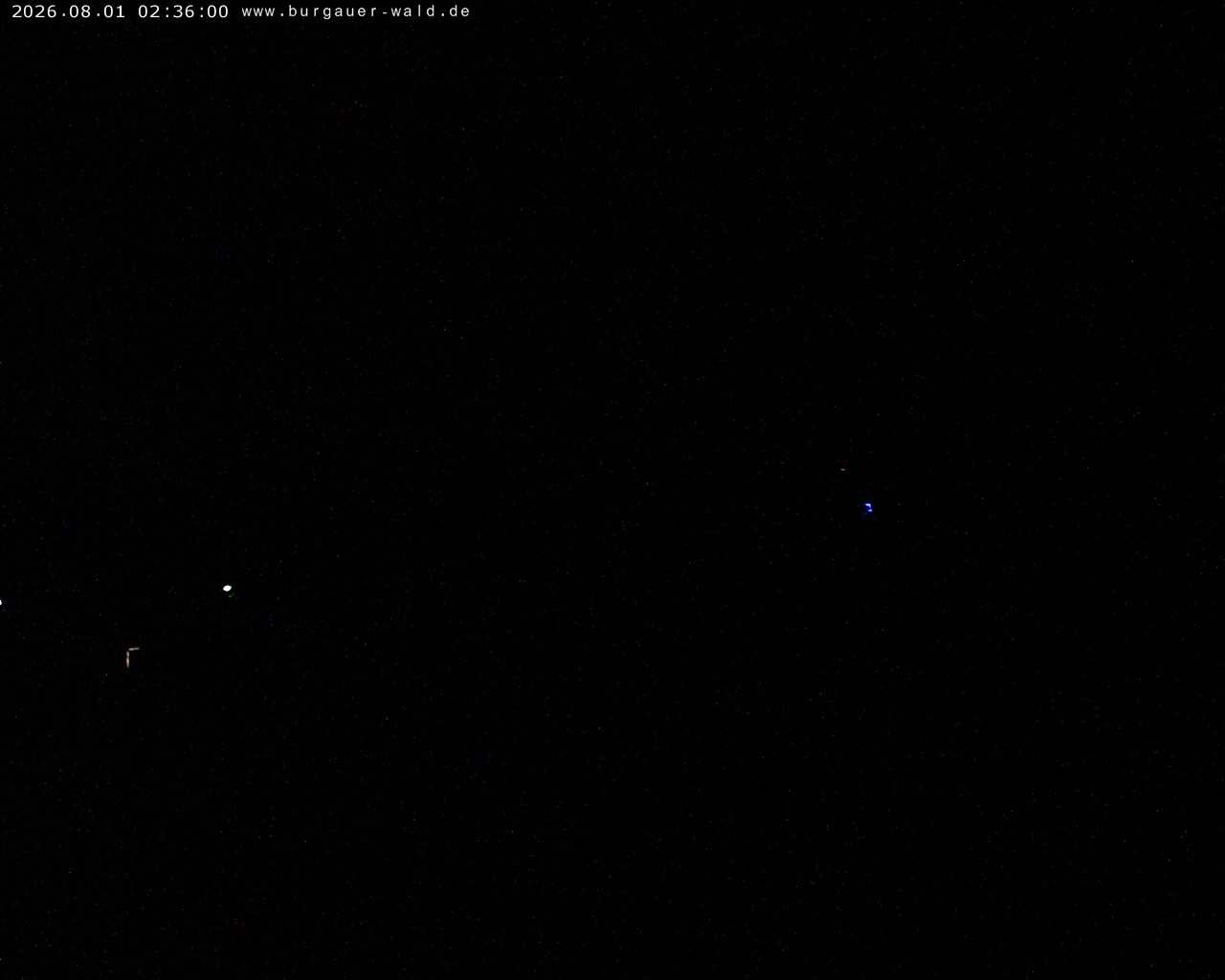 Archiv Foto Webcam Burgauer Wald