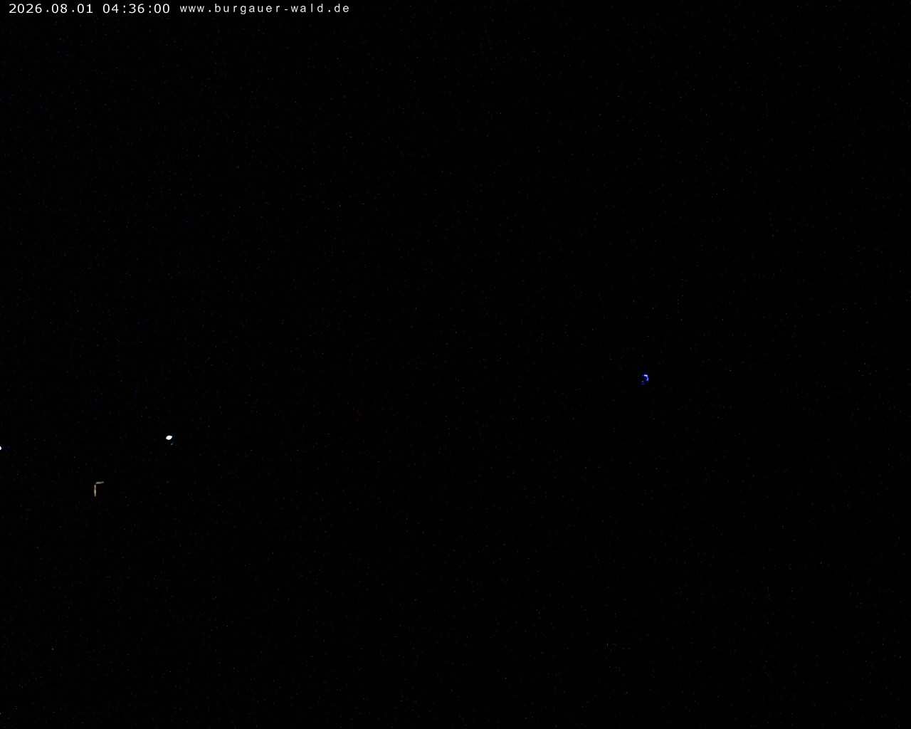 Archiv Foto Webcam Burgauer Wald