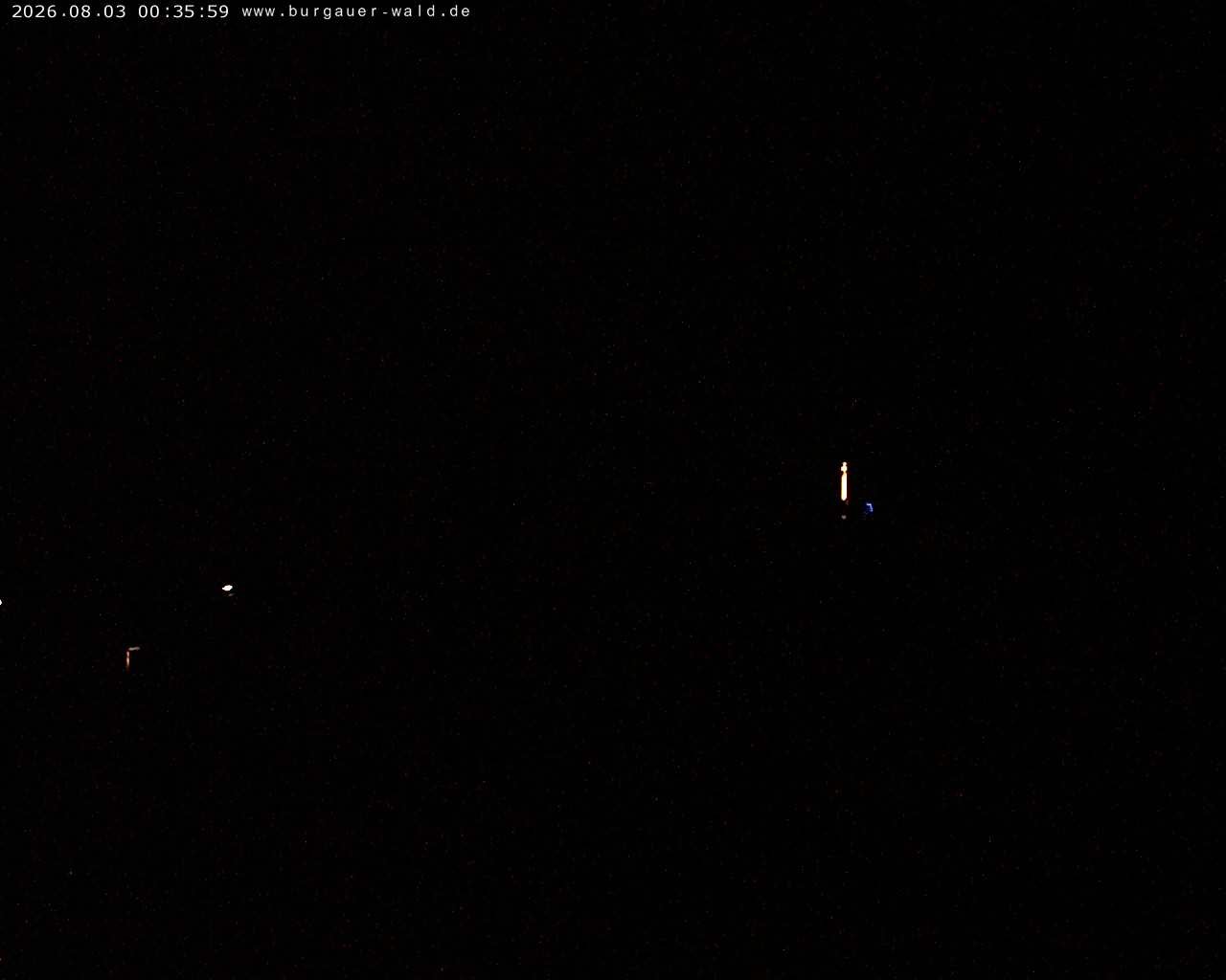 Archiv Foto Webcam Burgauer Wald