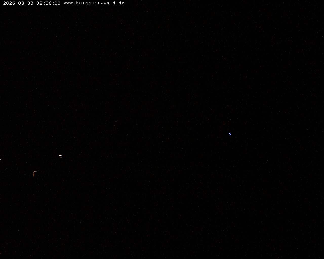Archiv Foto Webcam Burgauer Wald
