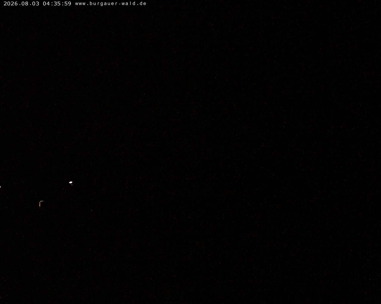 Archiv Foto Webcam Burgauer Wald