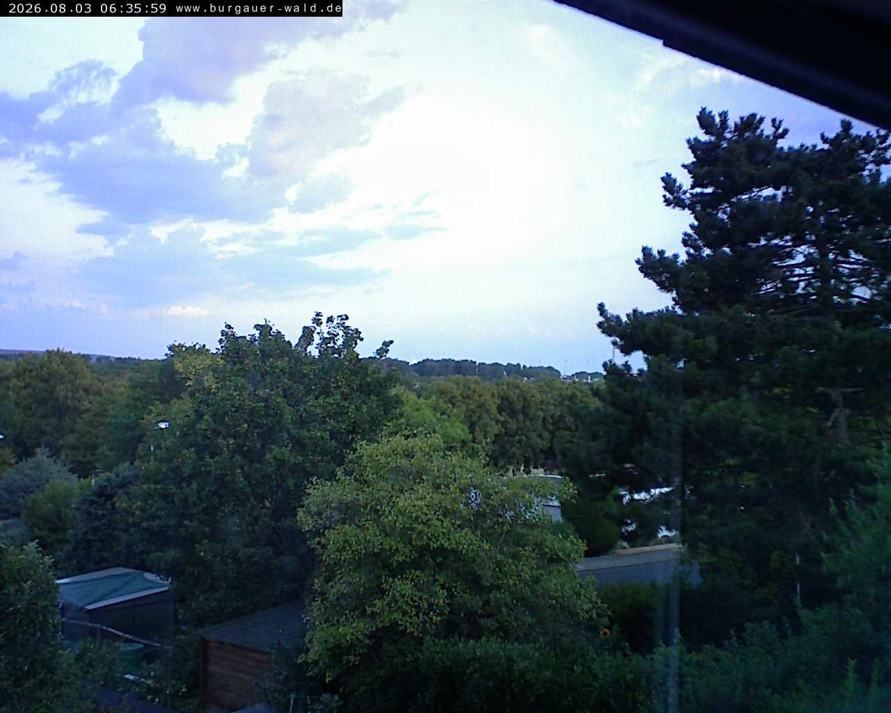 Archiv Foto Webcam Burgauer Wald