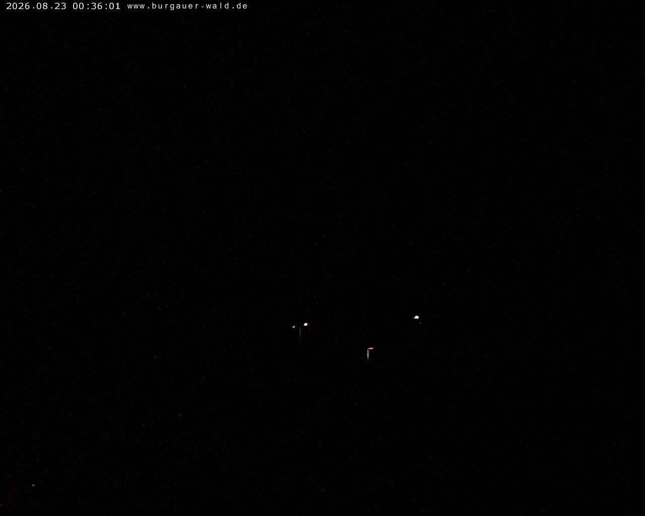 Archiv Foto Webcam Burgauer Wald
