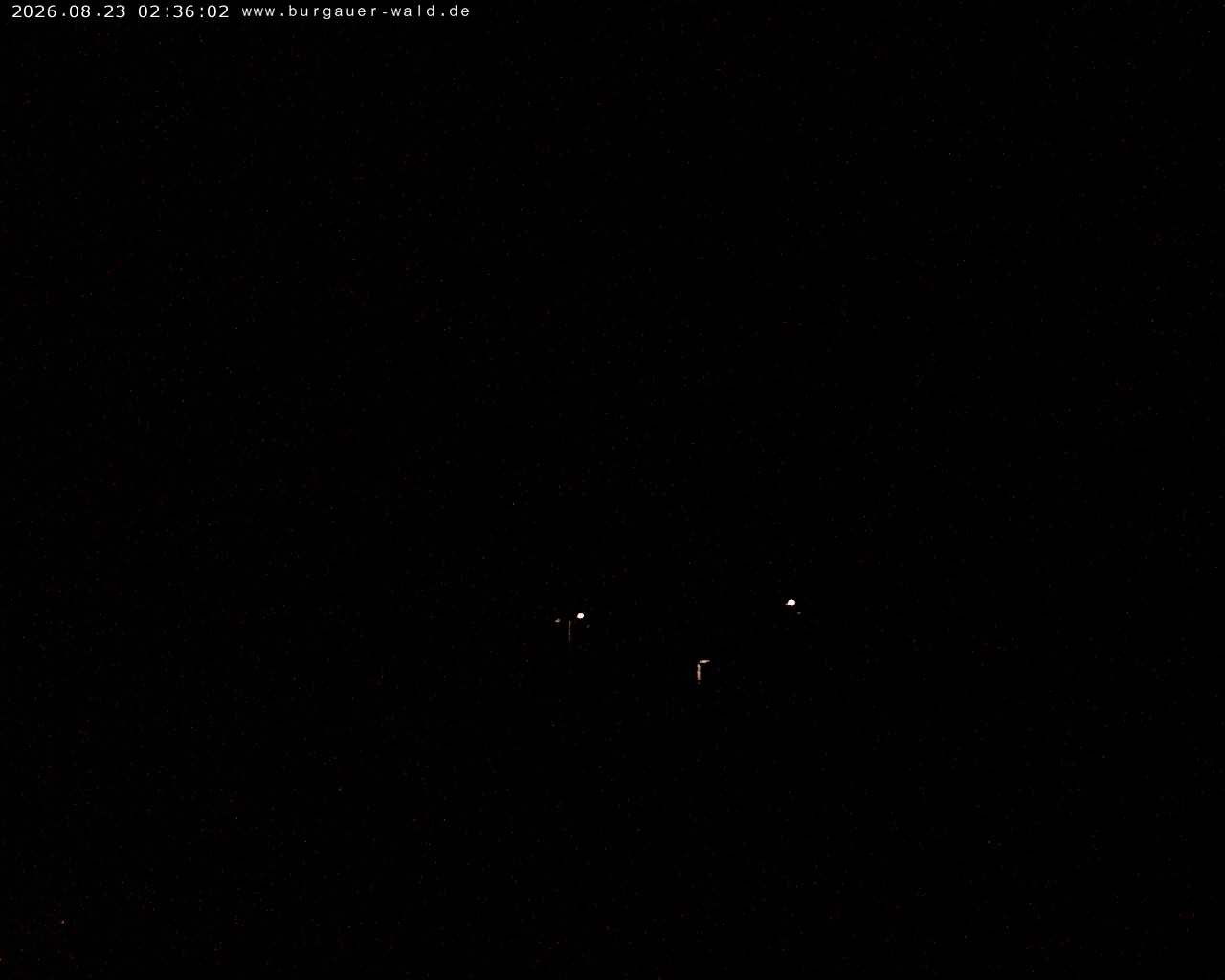 Archiv Foto Webcam Burgauer Wald