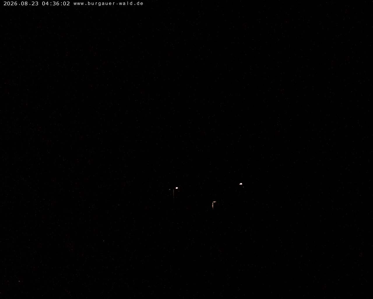 Archiv Foto Webcam Burgauer Wald