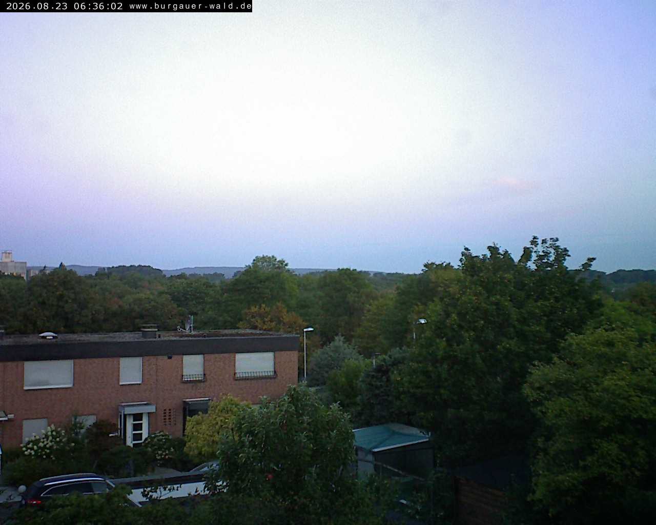 Archiv Foto Webcam Burgauer Wald