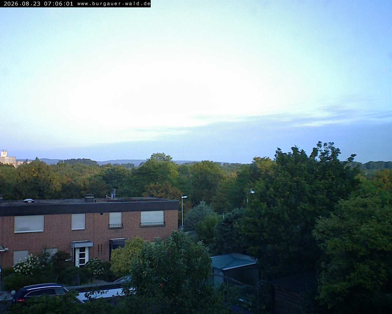 Archiv Foto Webcam Burgauer Wald