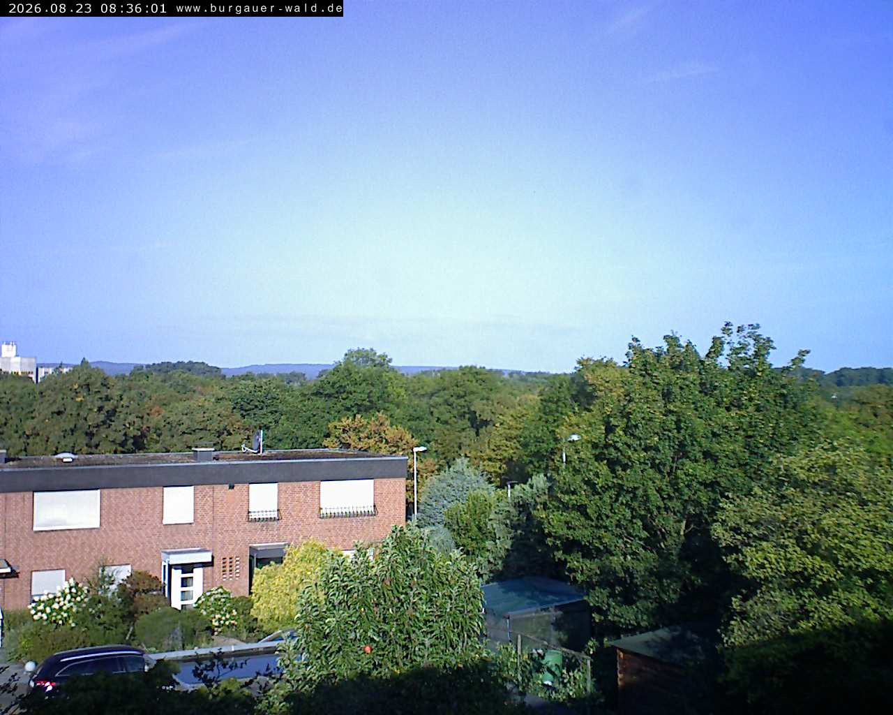 Archiv Foto Webcam Burgauer Wald