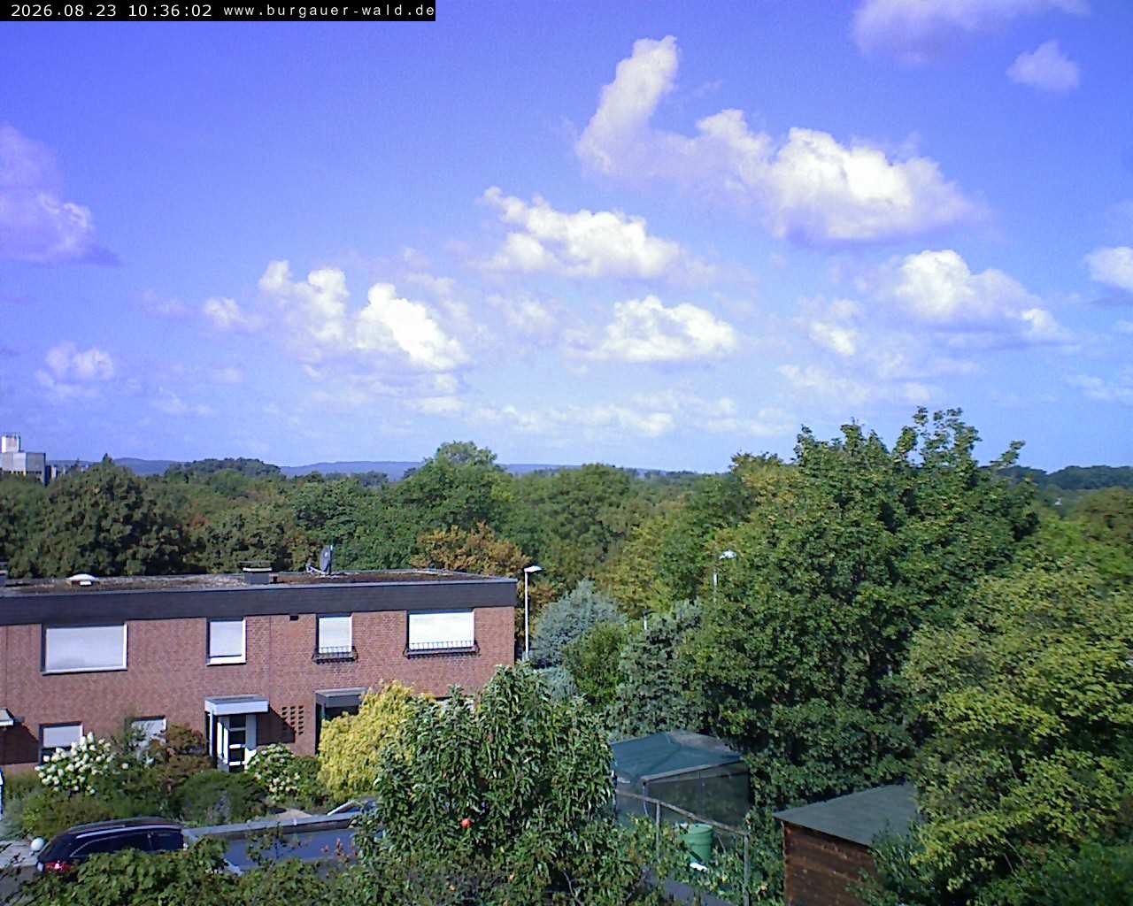 Archiv Foto Webcam Burgauer Wald