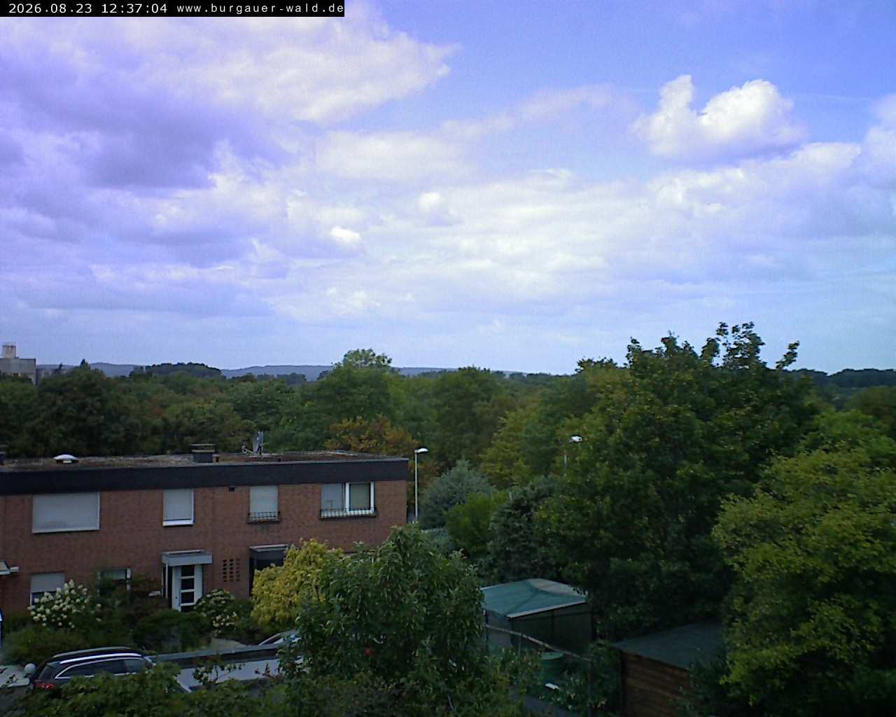 Archiv Foto Webcam Burgauer Wald