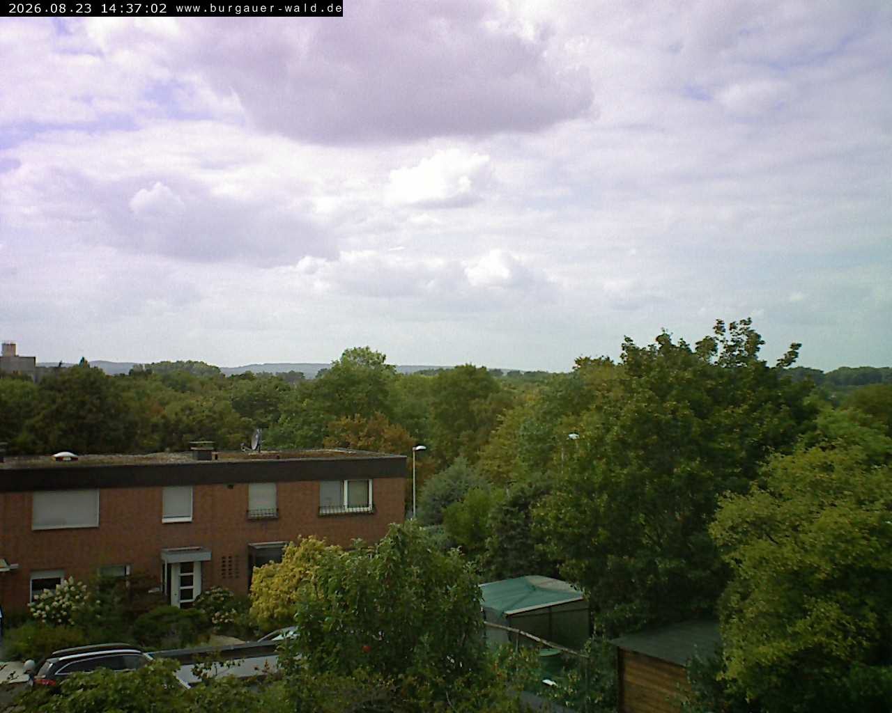 Archiv Foto Webcam Burgauer Wald