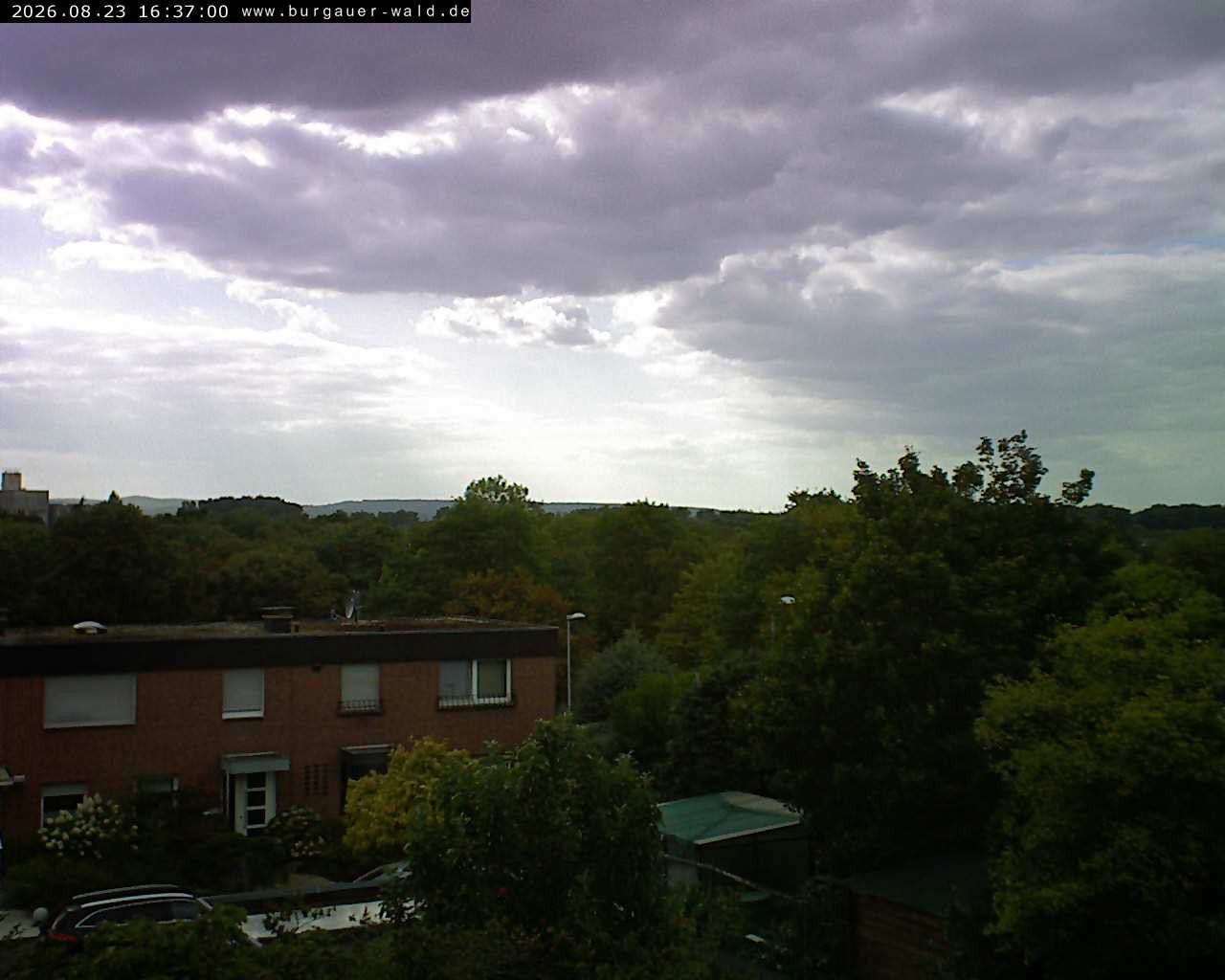 Archiv Foto Webcam Burgauer Wald