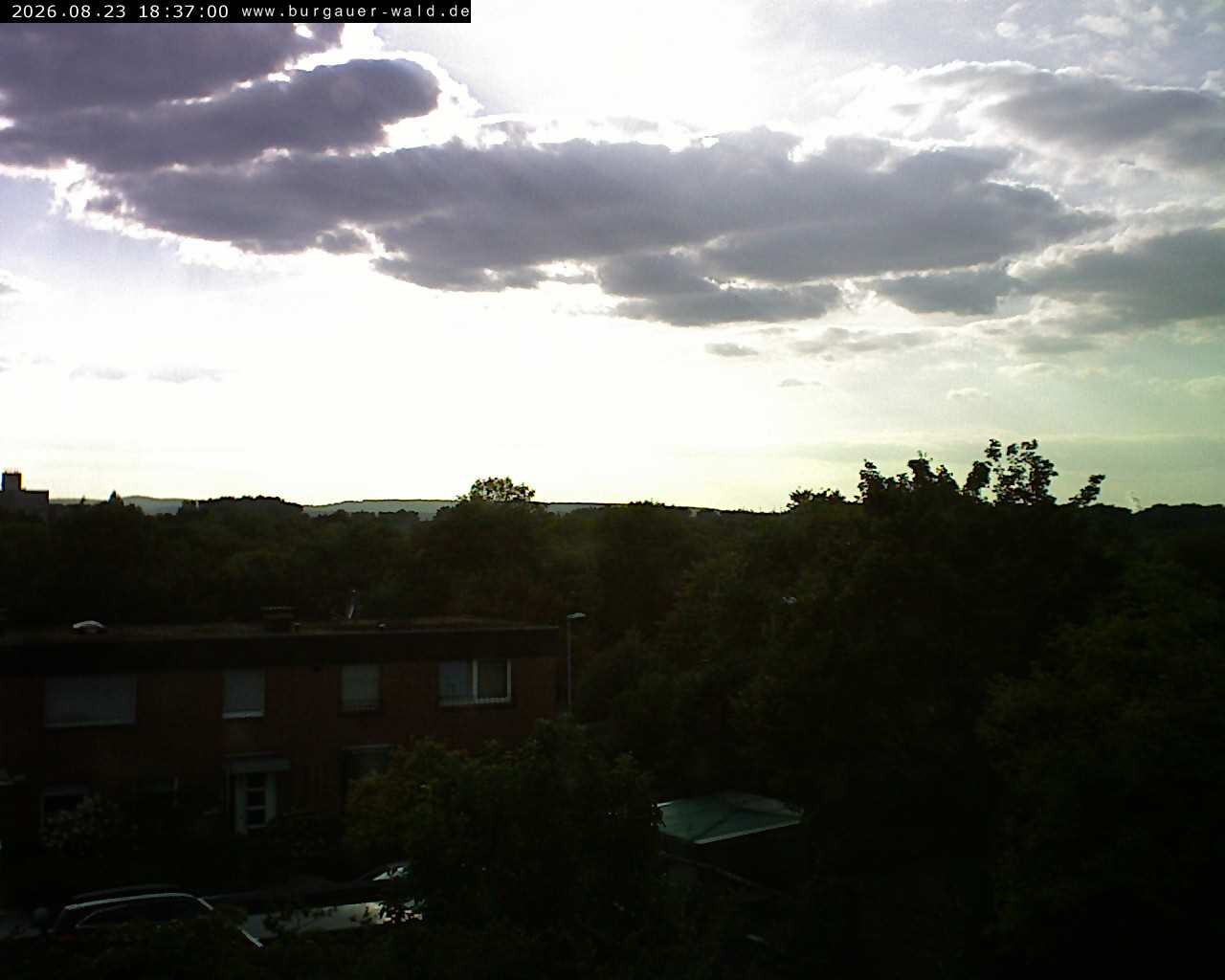 Archiv Foto Webcam Burgauer Wald