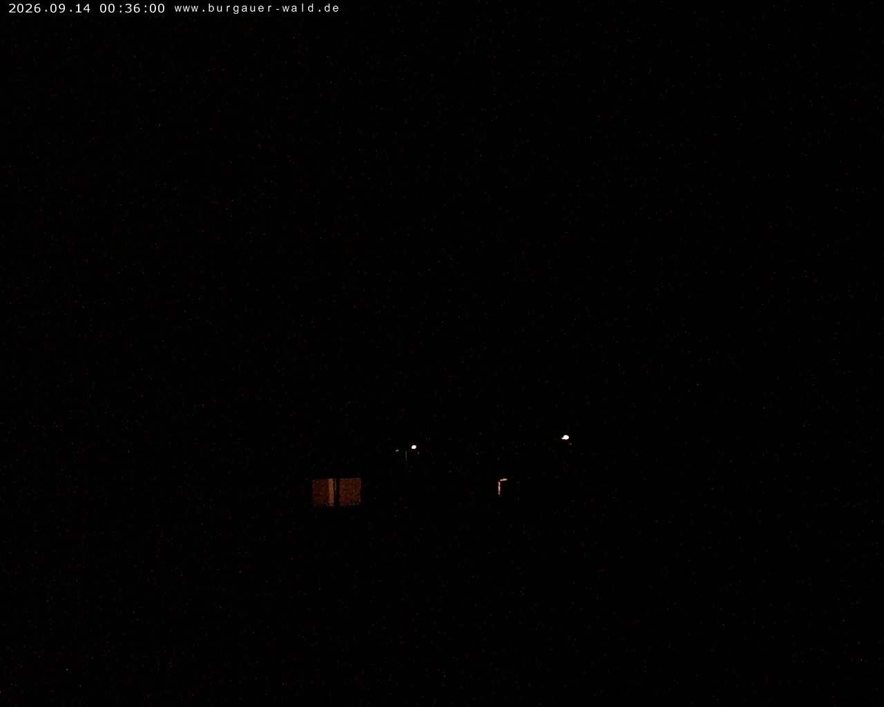 Archiv Foto Webcam Burgauer Wald