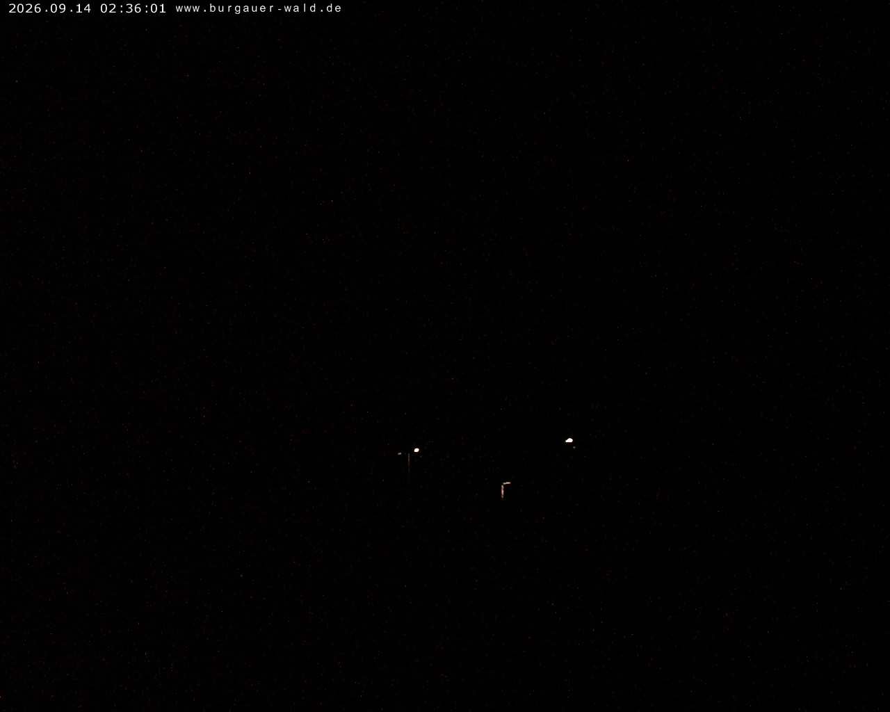 Archiv Foto Webcam Burgauer Wald