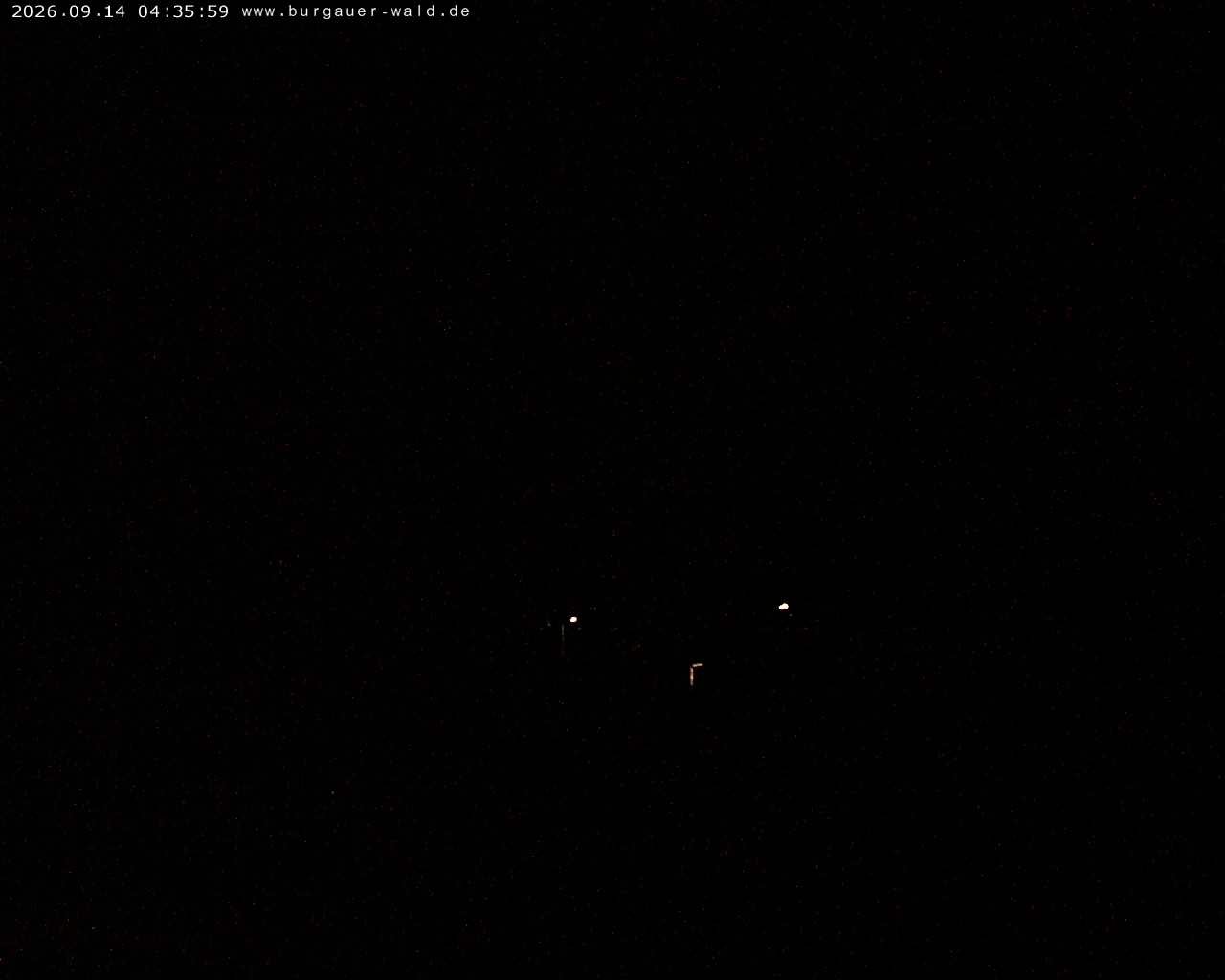 Archiv Foto Webcam Burgauer Wald