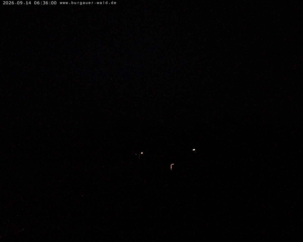 Archiv Foto Webcam Burgauer Wald