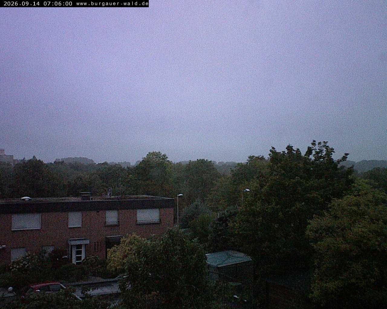 Archiv Foto Webcam Burgauer Wald