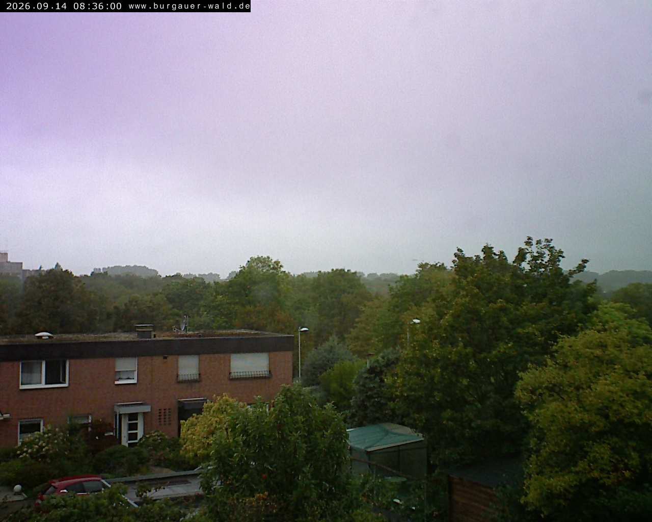 Archiv Foto Webcam Burgauer Wald