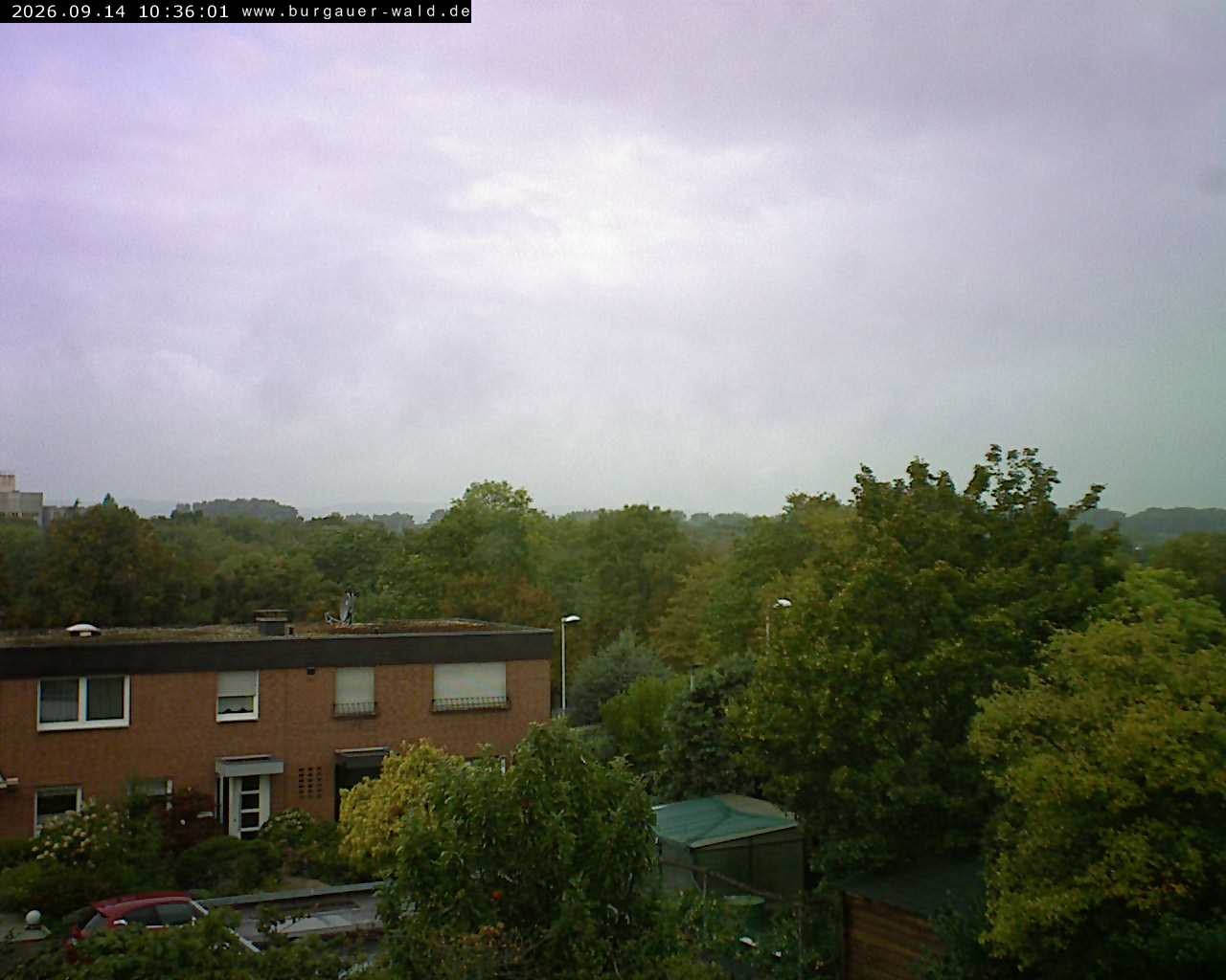 Archiv Foto Webcam Burgauer Wald
