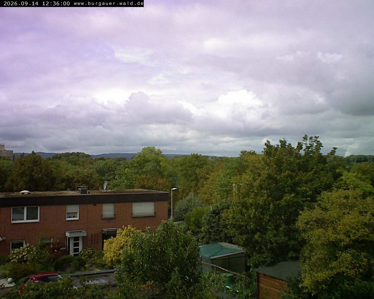 Archiv Foto Webcam Burgauer Wald