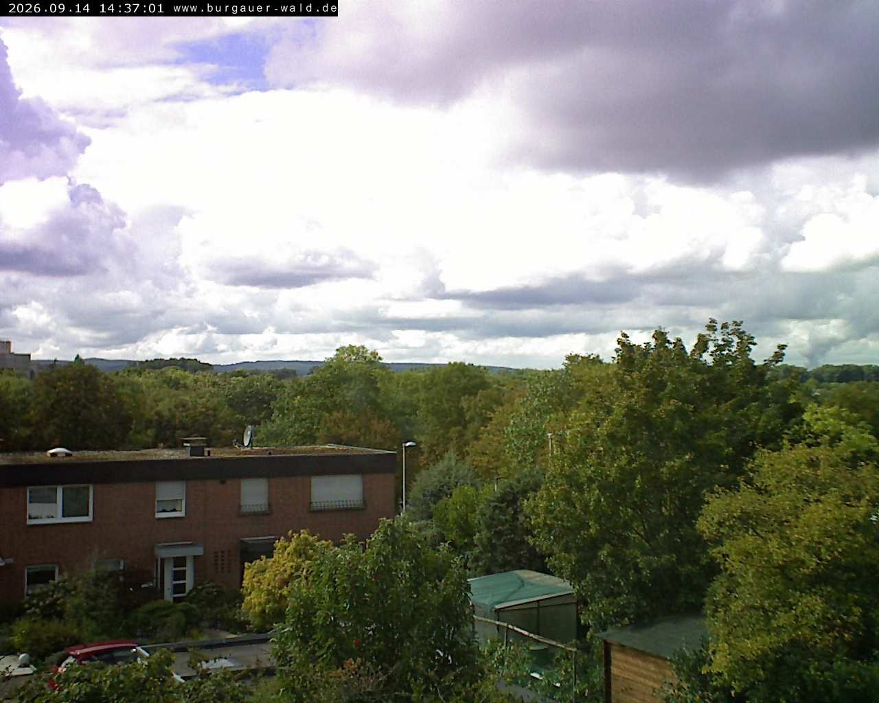 Archiv Foto Webcam Burgauer Wald