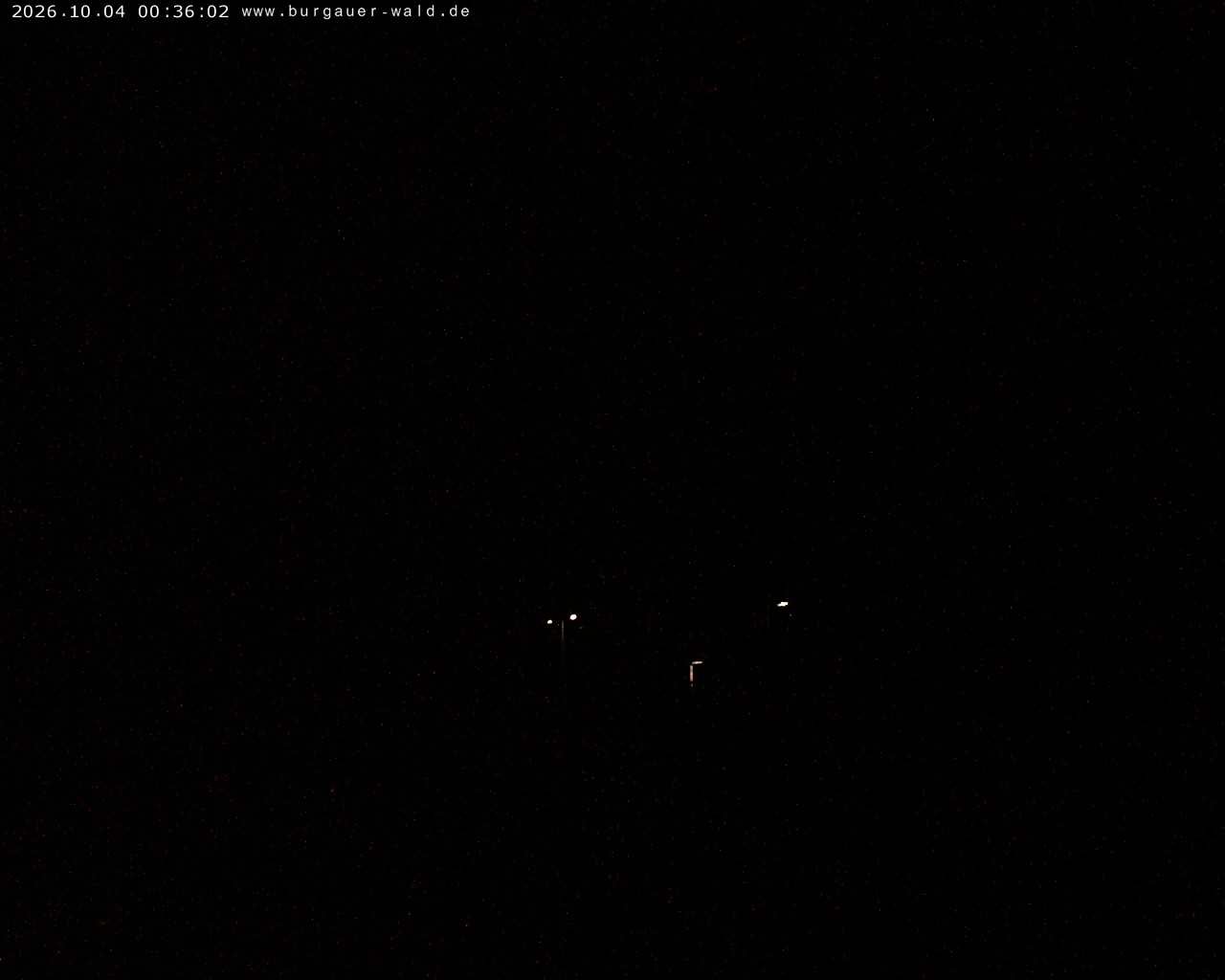 Archiv Foto Webcam Burgauer Wald