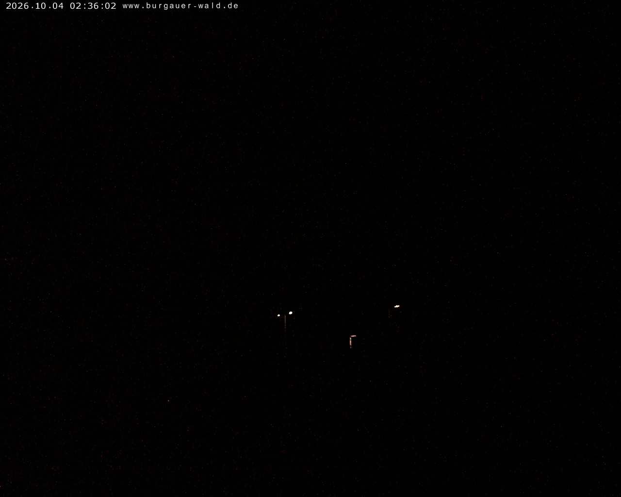 Archiv Foto Webcam Burgauer Wald
