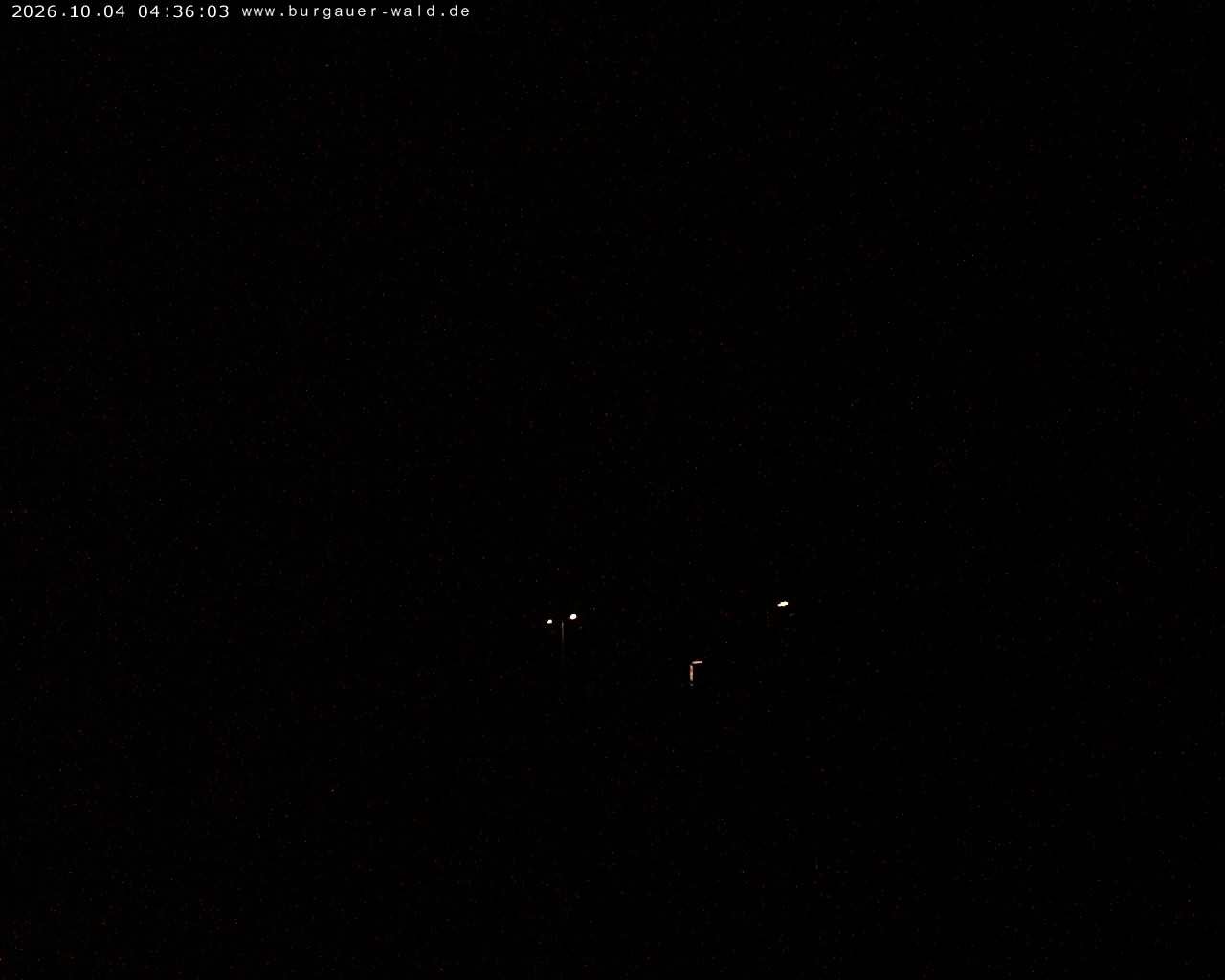 Archiv Foto Webcam Burgauer Wald