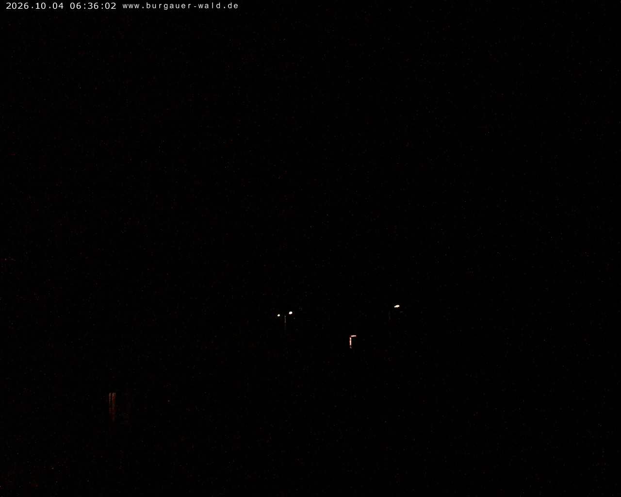 Archiv Foto Webcam Burgauer Wald