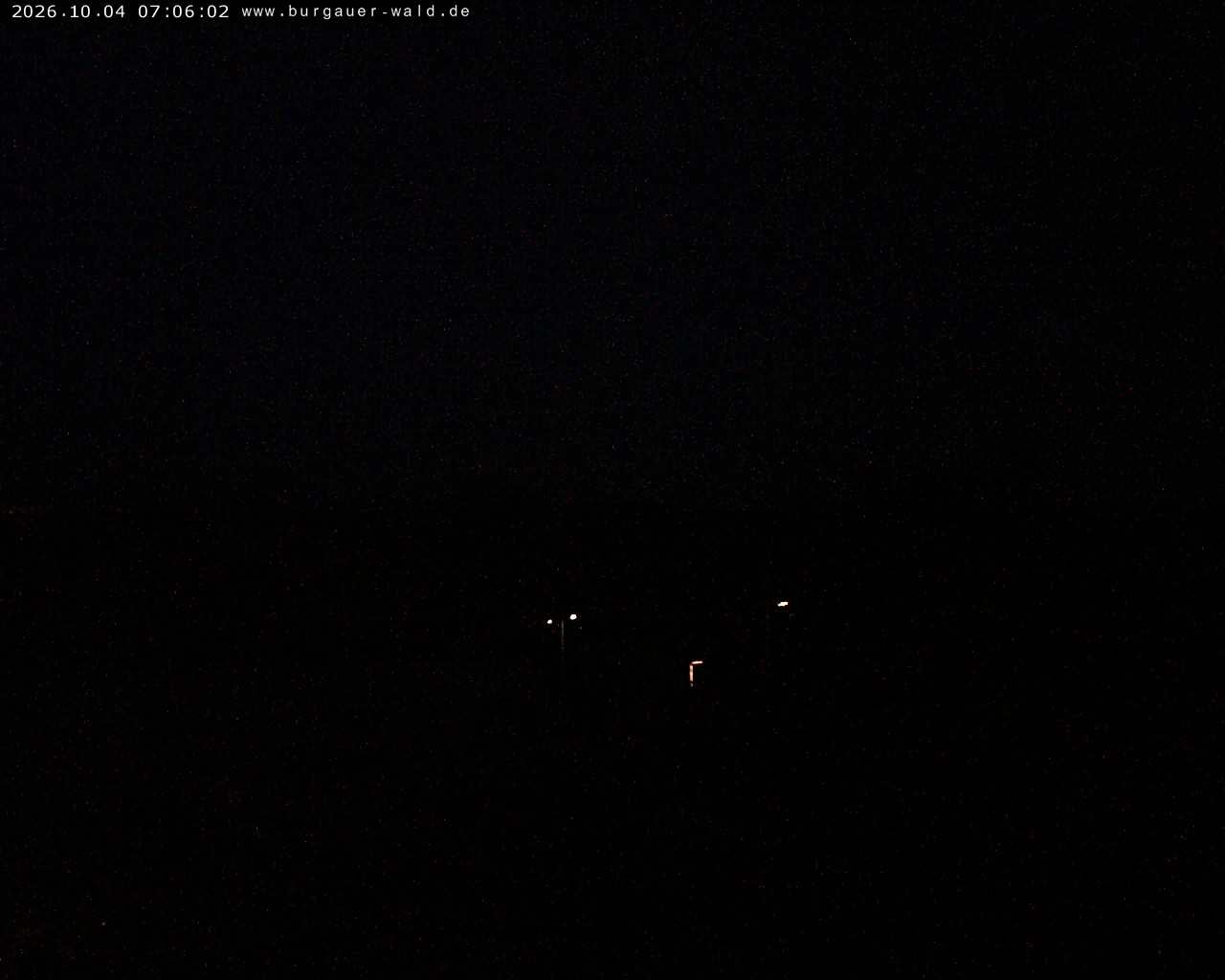 Archiv Foto Webcam Burgauer Wald