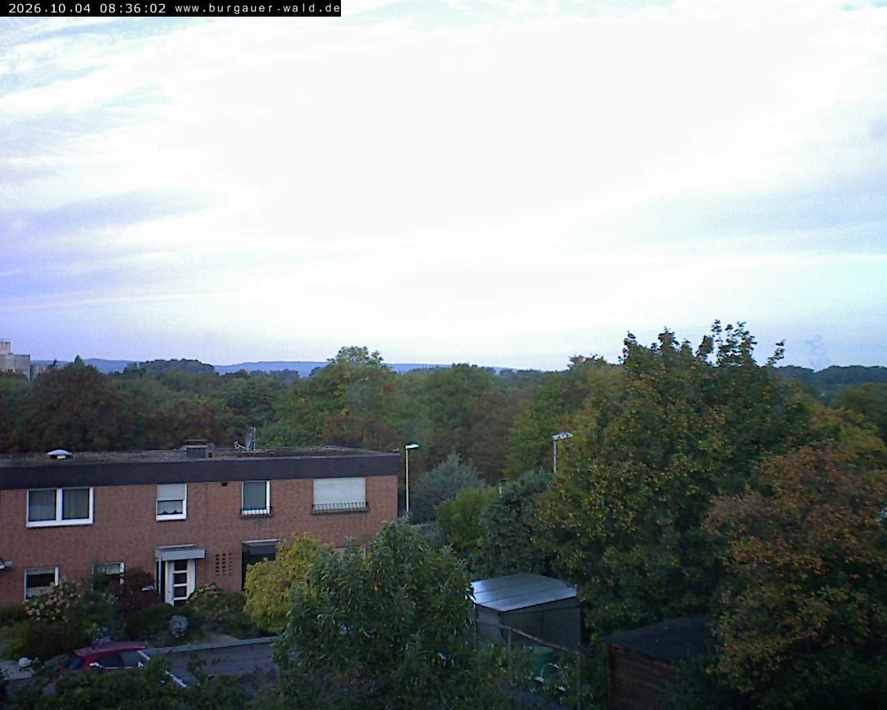 Archiv Foto Webcam Burgauer Wald