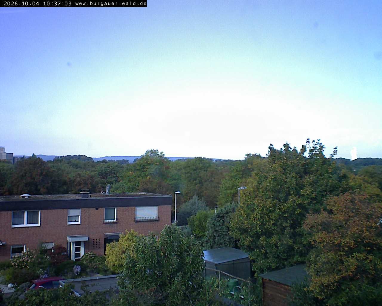 Archiv Foto Webcam Burgauer Wald