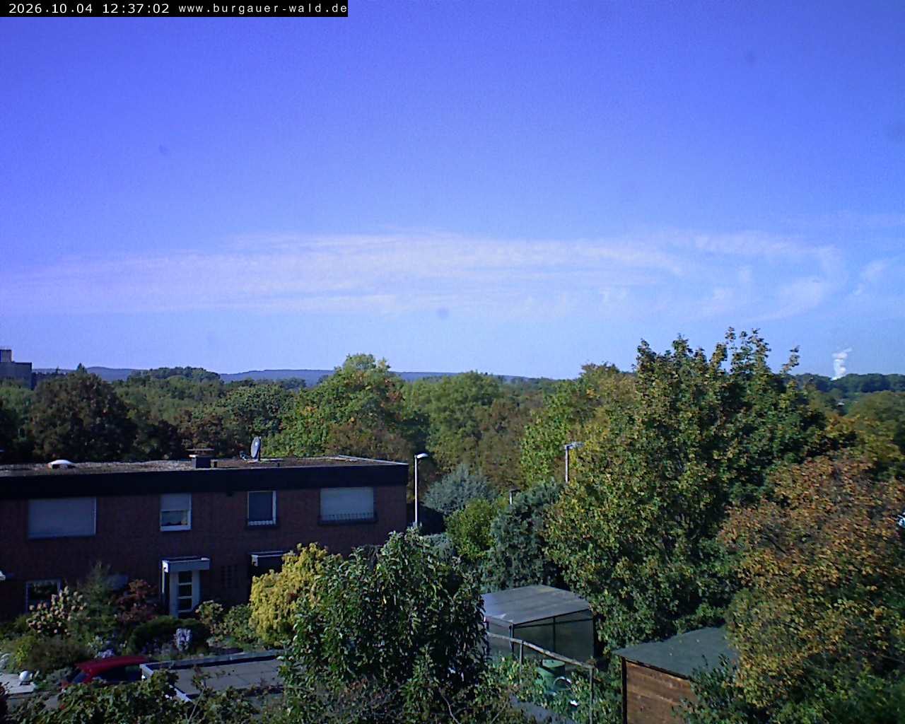 Archiv Foto Webcam Burgauer Wald